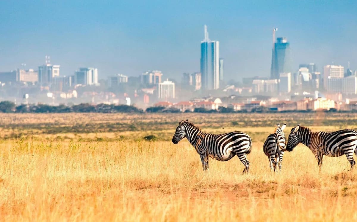 Half-Day Nairobi National Park Safari from Nairobi with Free Pickup | ®ExcursionMania