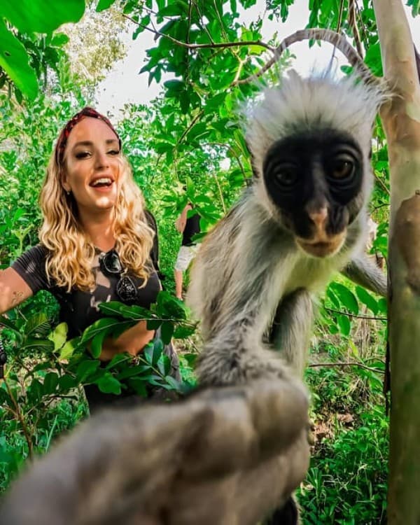 Zanzibar: Jozani Chwaka Bay National Park and Lunch | ®ExcursionMania
