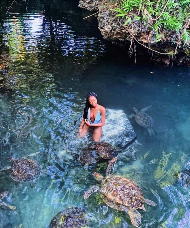 Salaam Cave Swimming with Sea Turtles in Zanzibar Kizimkazi | ®ExcursionMania