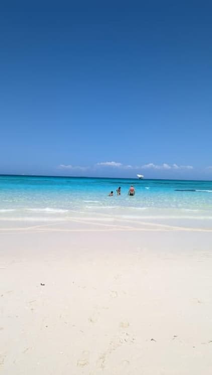 Snorkeling in Zanzibar: Mnemba Island and Dolphin adventure | ®ExcursionMania