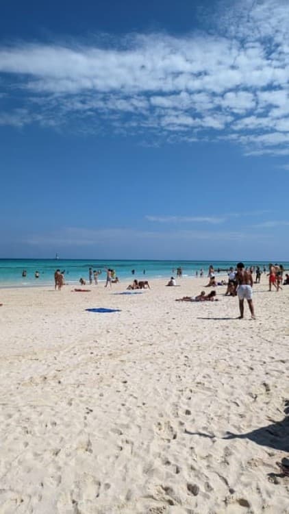 Snorkeling in Zanzibar: Mnemba Island and Dolphin adventure | ®ExcursionMania