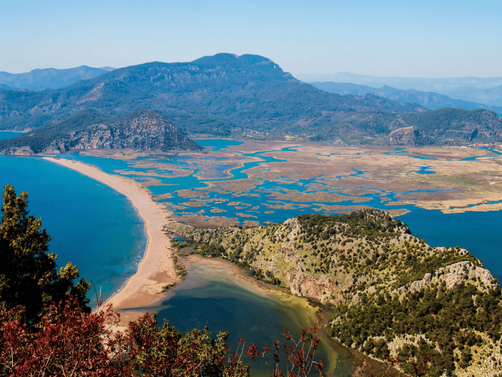 Icmeler Turtle Beach Tour W/ Mud Baths & River Cruise | ®ExcursionMania