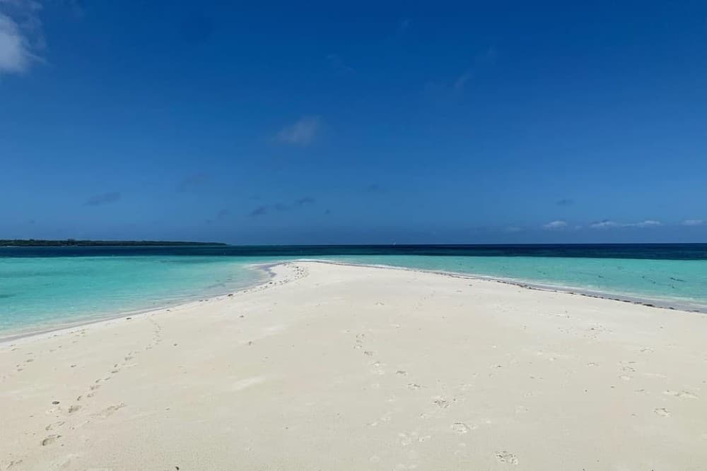 Pungume beach, sandbank BBQ and snorkeling | ®ExcursionMania