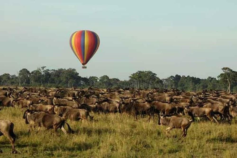 3 Days 2 Nights Masai Mara Joining Safari From Nairobi | ®ExcursionMania