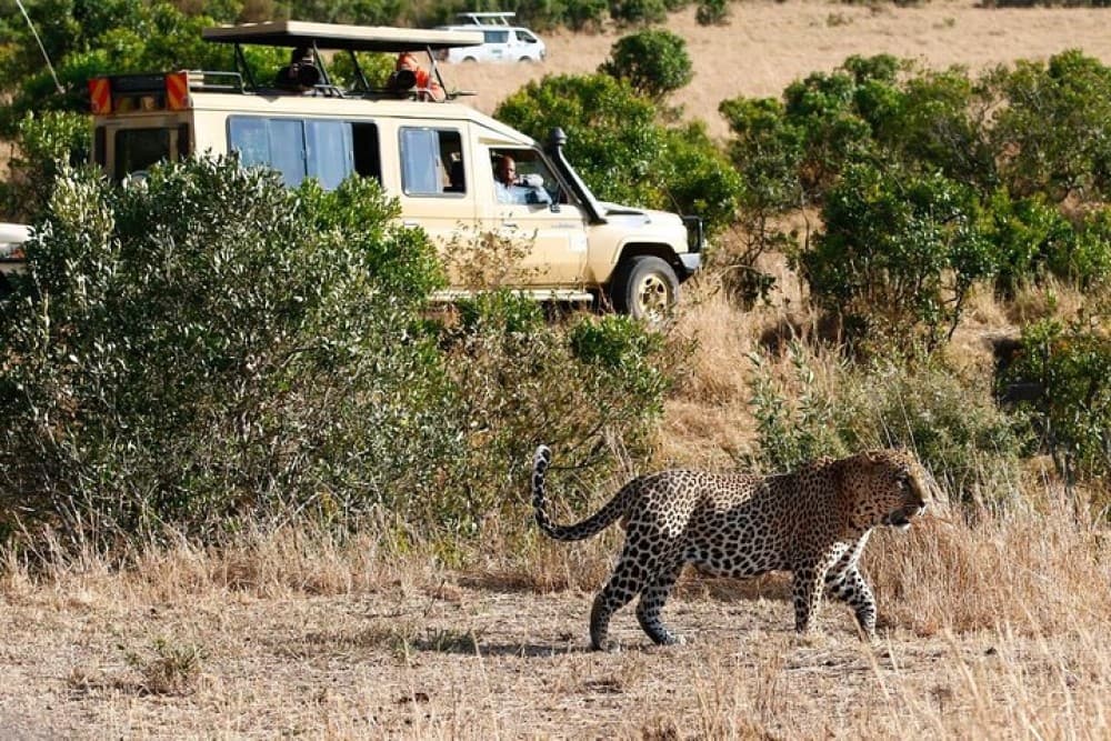 3 Days 2 Nights Masai Mara Joining Safari From Nairobi | ®ExcursionMania