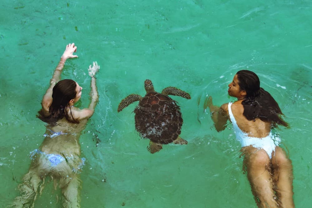 Swimming with sea turtles in salaam cave | ®ExcursionMania