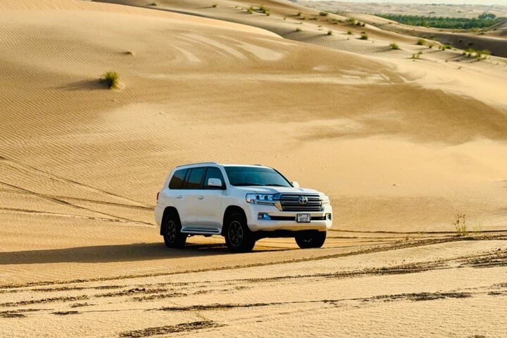 Private Abu Dhabi Desert Safari With Camel Ride And Sand Boarding | ®ExcursionMania
