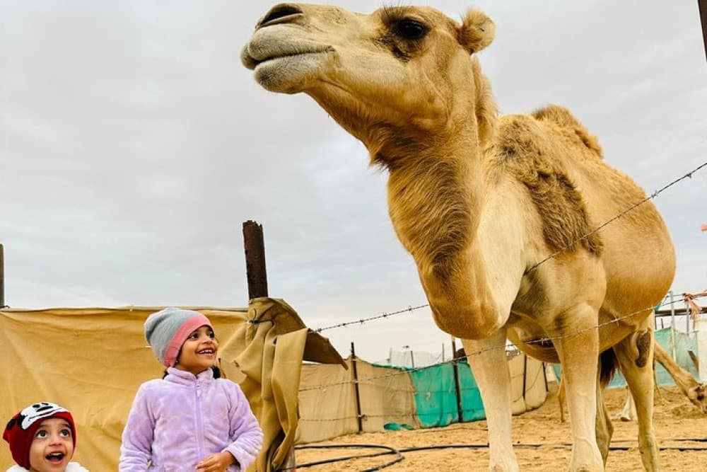 Abu Dhabi Morning Desert Safari with Camel Ride | ®ExcursionMania