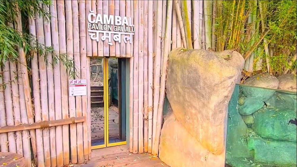 Prague: Prague Zoo Audio Guide with E-Ticket | ®ExcursionMania