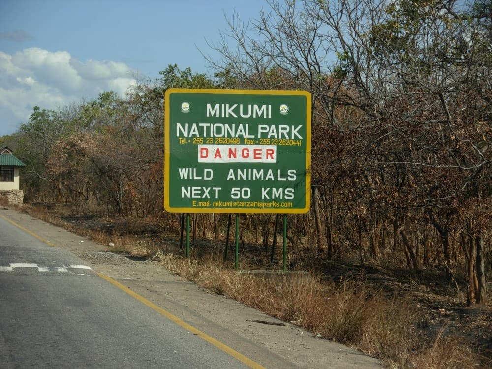 Safari Wildlife From Zanzibar to Mikumu 3 Days And 2 Nights | ®ExcursionMania