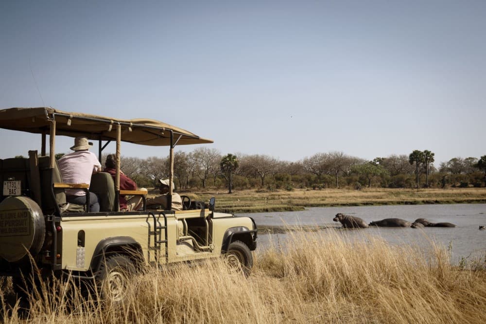 Safari Wildlife From Zanzibar to Mikumu 3 Days And 2 Nights | ®ExcursionMania