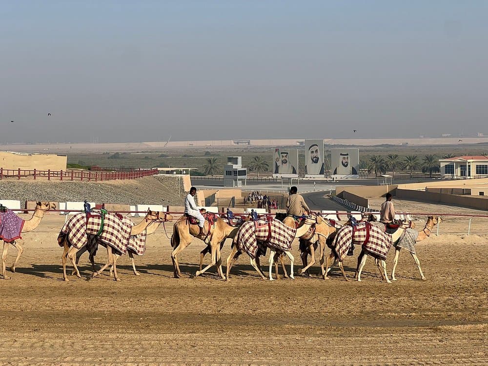 Al Wathba Fossil Dunes and Camel Race Track Trip Abu Dhabi | ®ExcursionMania