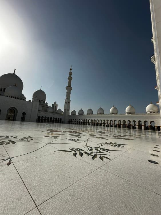 Abu Dhabi: Half Day Sightseeing Tour with Pick up & Drop off | ®ExcursionMania