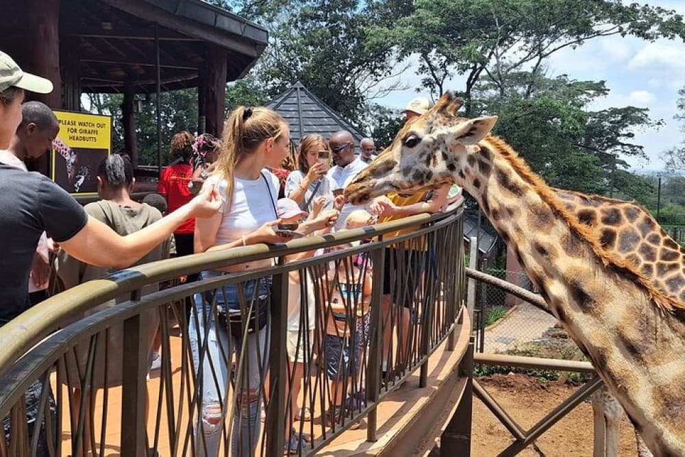 Kenya: A land of stunning safaris, diverse landscapes, and rich cultural experiences. 