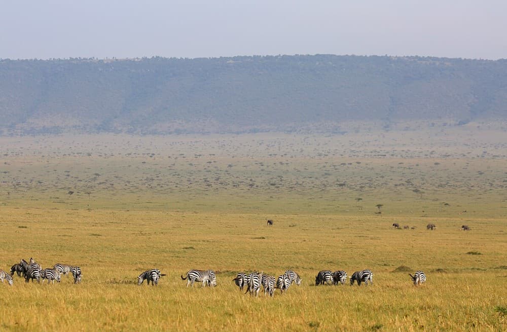 3 Days 2 Nights Masai Mara Joining Safari From Nairobi | ®ExcursionMania