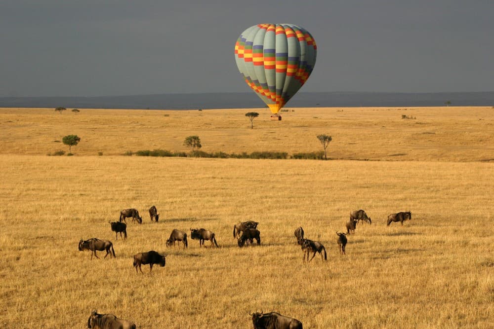 3 Days 2 Nights Masai Mara Joining Safari From Nairobi | ®ExcursionMania