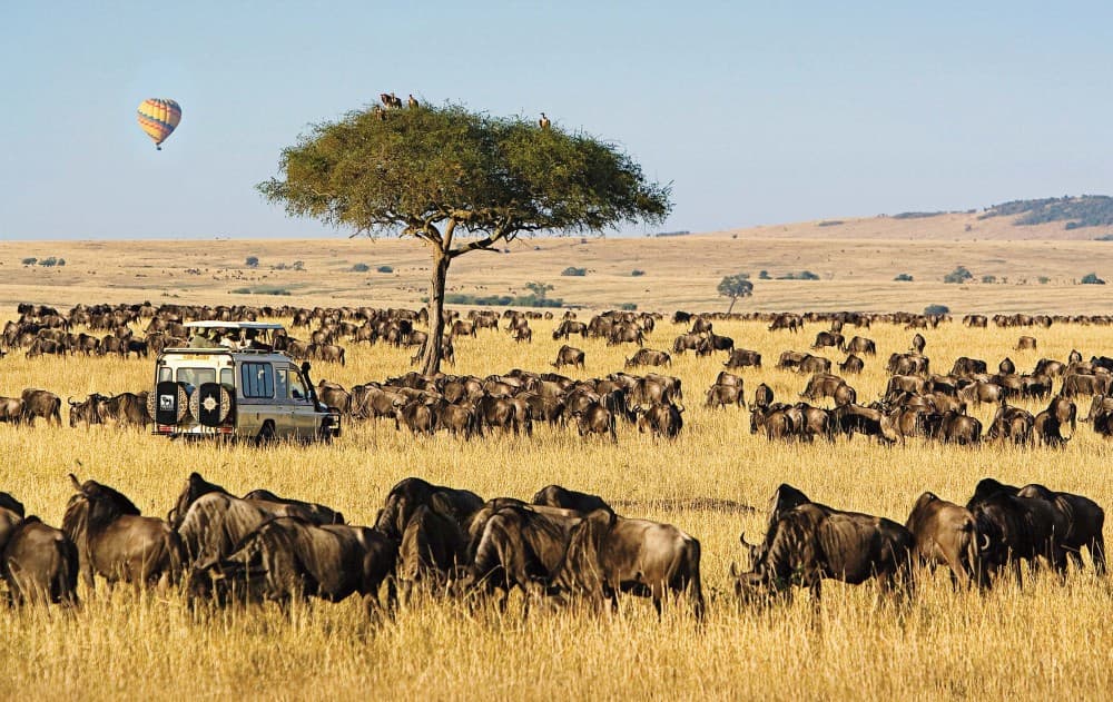 3 Days 2 Nights Masai Mara Joining Safari From Nairobi | ®ExcursionMania