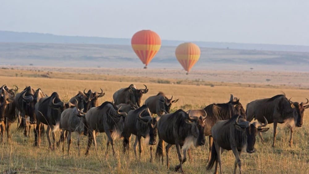 3 Days Masai Mara Camping | ®ExcursionMania