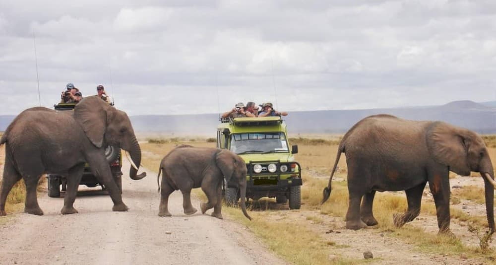 3 Days Masai Mara Camping | ®ExcursionMania