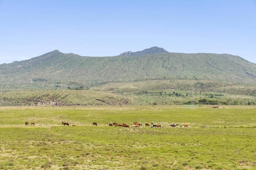 From Nairobi: Mt Longonot Hiking Day Tour | ®ExcursionMania
