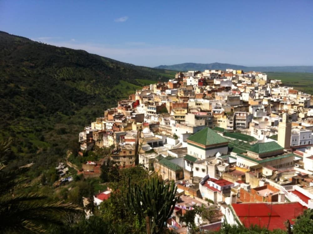 From Fes: Meknes Volubilis and Moulay Idriss Day Trip | ®ExcursionMania