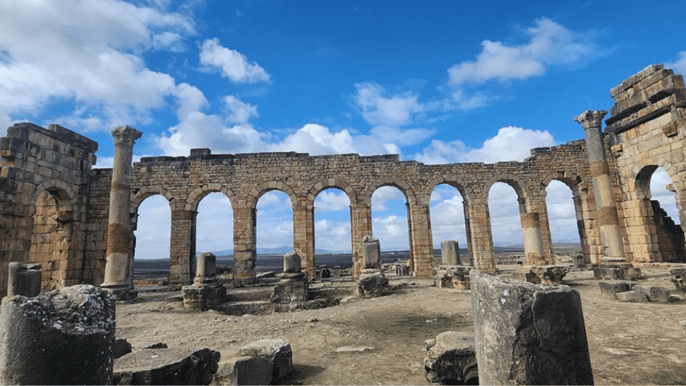 From Fes: Meknes Volubilis and Moulay Idriss Day Trip | ®ExcursionMania