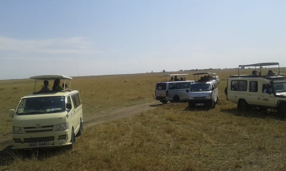 5 Days Amboseli, Lake Nakuru and Masai Mara Safari | ®ExcursionMania