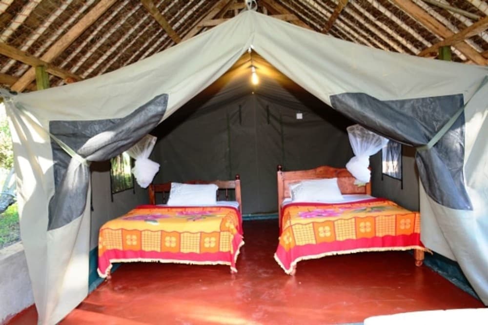 5 Days Amboseli, Lake Nakuru and Masai Mara Safari | ®ExcursionMania