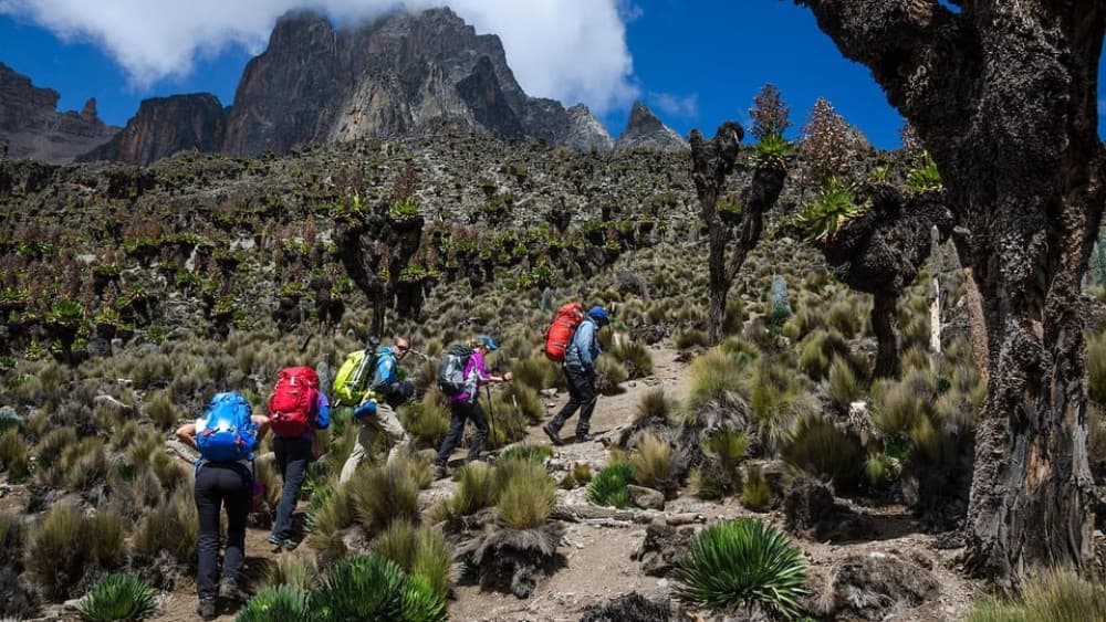 Mt Kenya: Full-day hiking tour from Nairobi | ®ExcursionMania