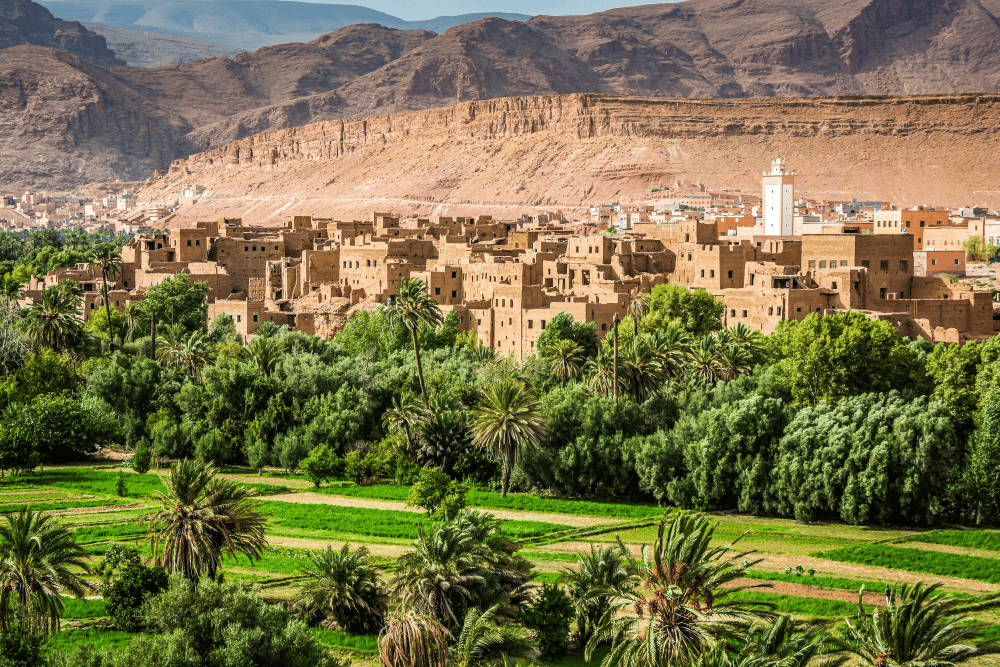 From Marrakech: 3-Day Desert Tour to Fes via Erg Chebbi | ®ExcursionMania