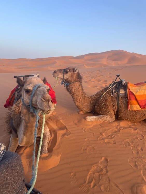 3-Days Tour from Errachidia Airport to Merzouga Erg Chebbi | ®ExcursionMania