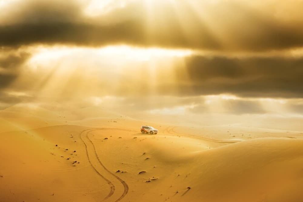 Half-Day Desert Safari from Abu Dhabi | ®ExcursionMania