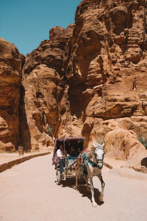 From Amman : Private Full day tour to Petra | ®ExcursionMania