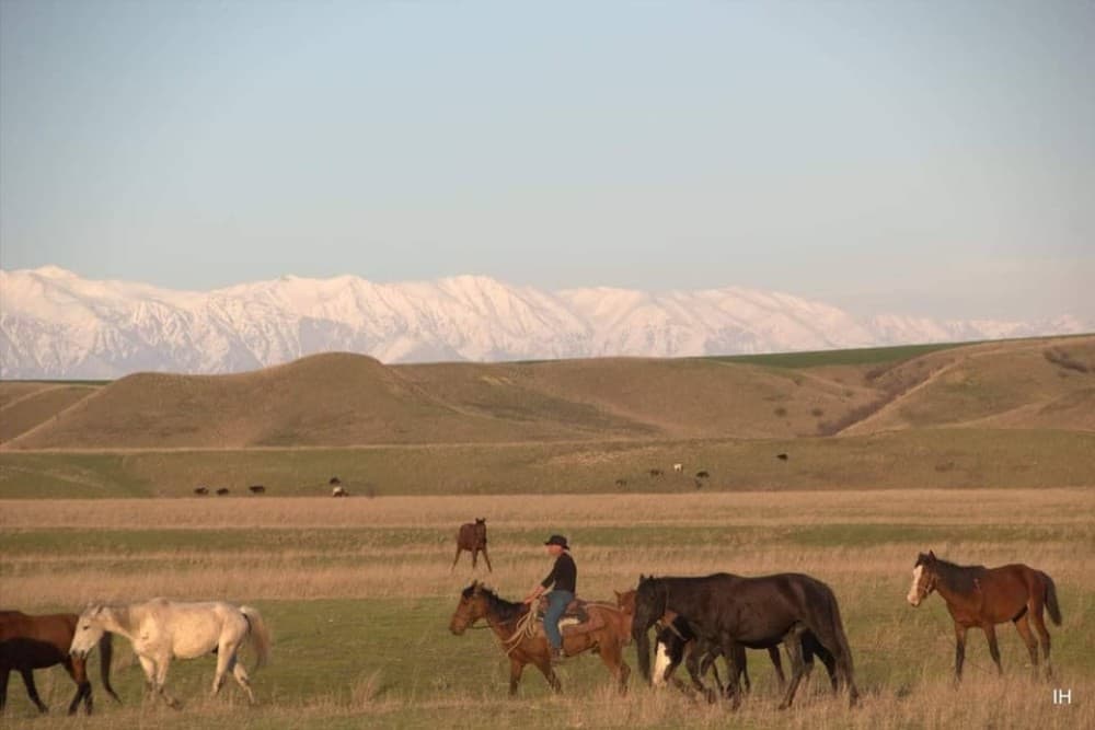 Vashlovani Nature Reserve: Horse Riding Tour | ®ExcursionMania