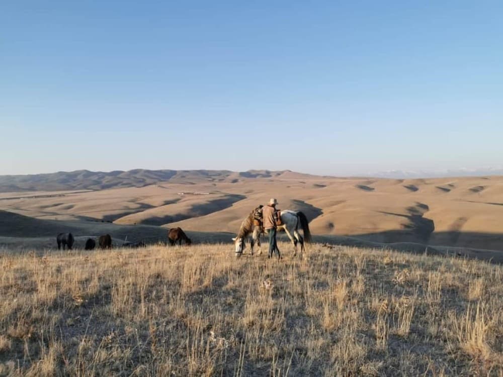 Vashlovani Nature Reserve: Horse Riding Tour | ®ExcursionMania