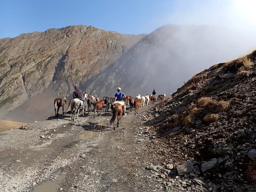 Vashlovani Nature Reserve: Horse Riding Tour | ®ExcursionMania