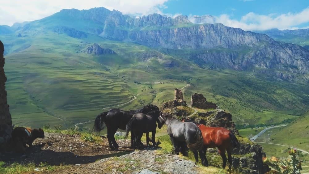 Ride A Horse To Gergeti Trinity Church And Summit A Mountain | ®ExcursionMania