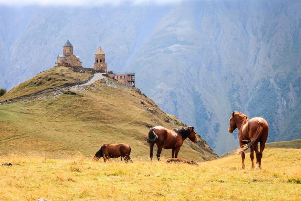 Ride A Horse To Gergeti Trinity Church And Summit A Mountain | ®ExcursionMania