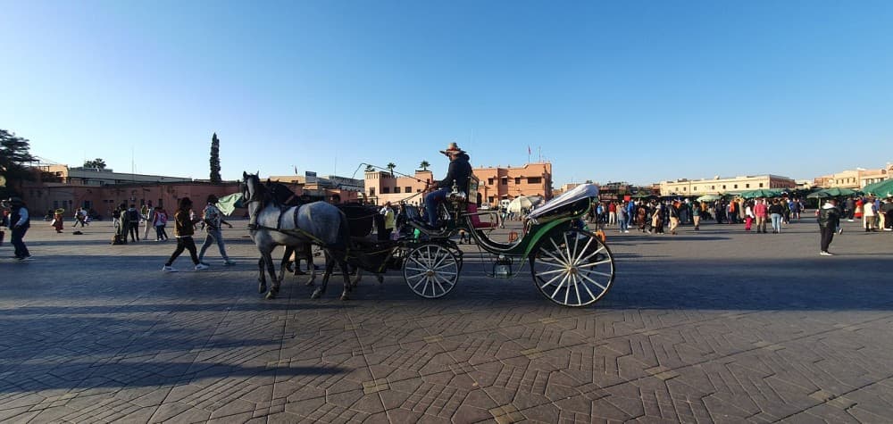 Marrakech Day Trip From Agadir | ®ExcursionMania