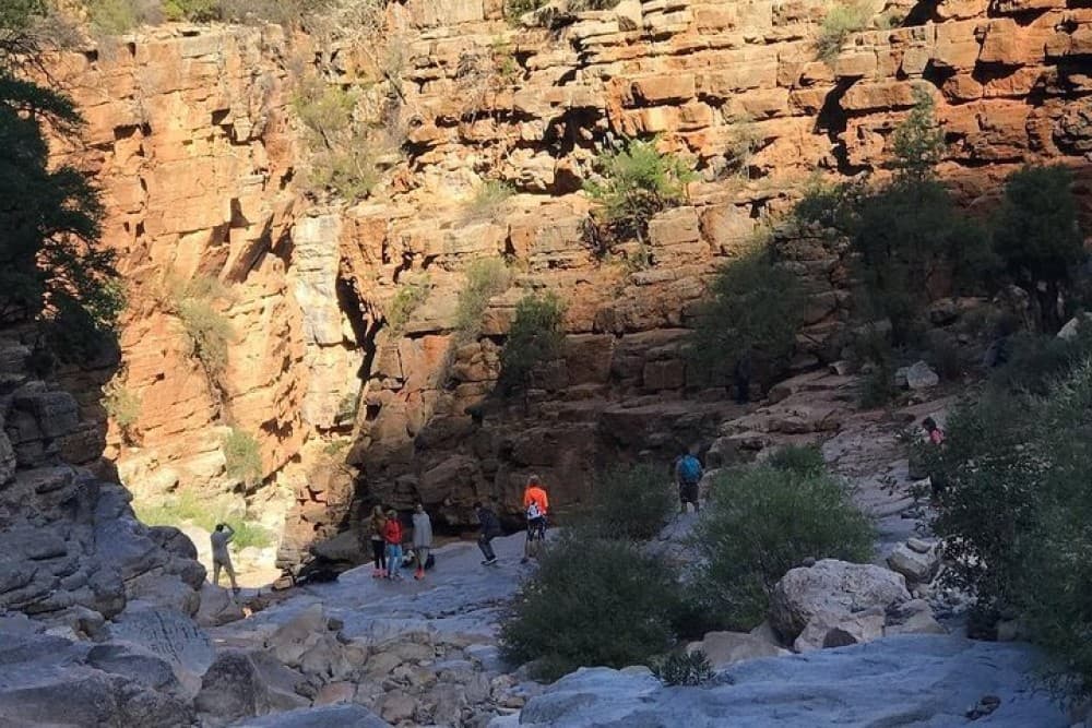 Agadir Taghazout: Paradise Valley & Atlas Mountains Swimming Trip | ®ExcursionMania