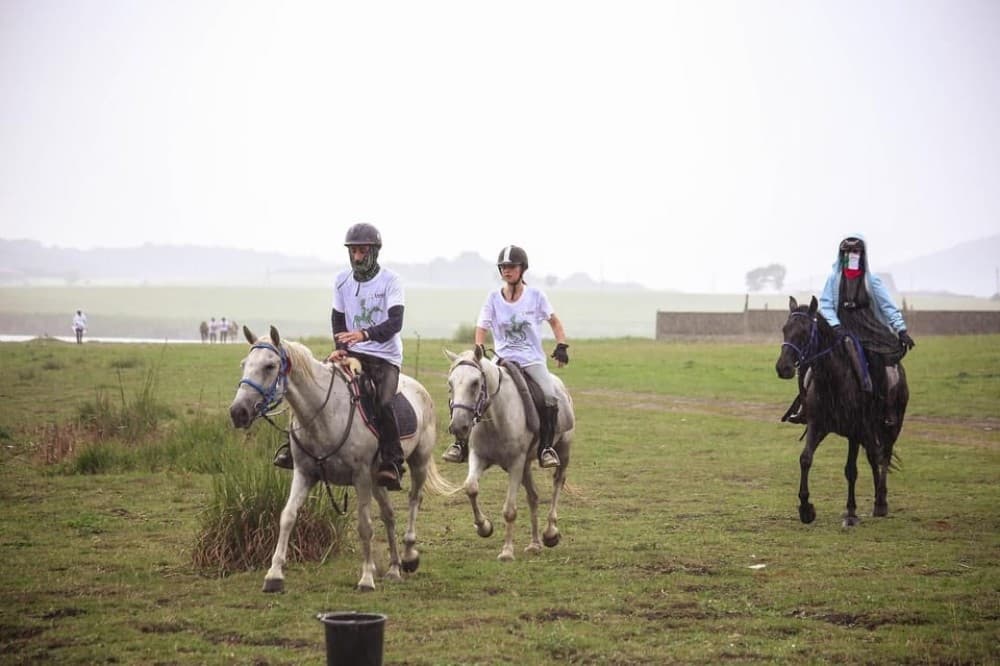 Tbilisi: Kakheti Horse Riding, Wine Tasting, and Cooking | ®ExcursionMania