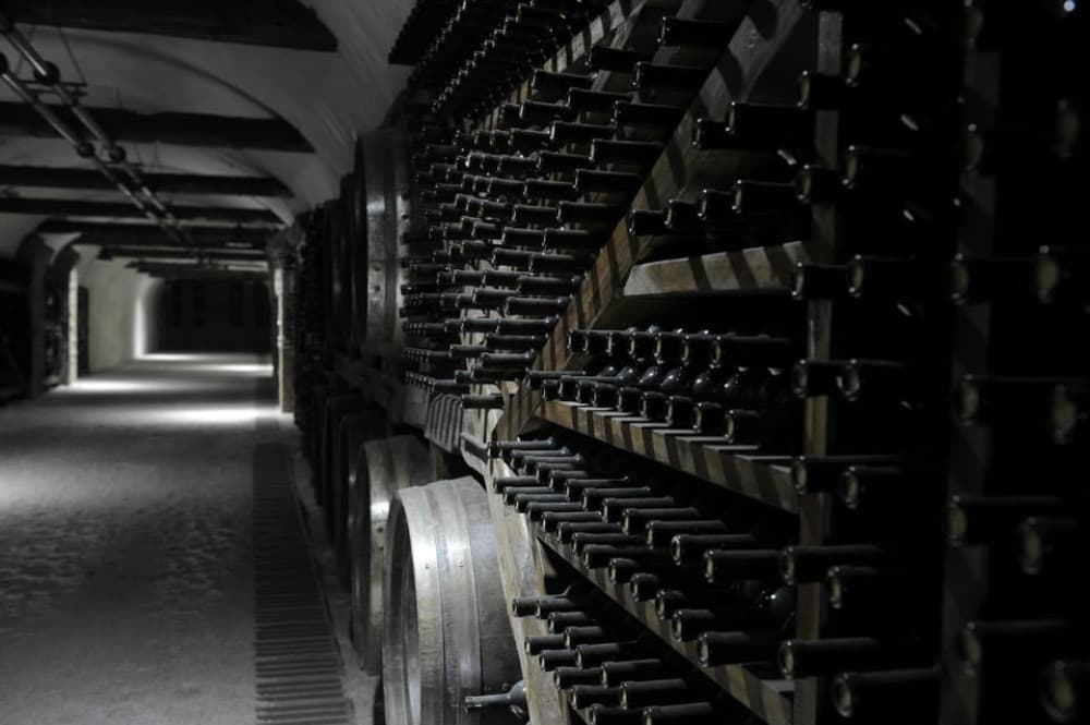 Tbilisi: Kakheti Horse Riding, Wine Tasting, and Cooking | ®ExcursionMania