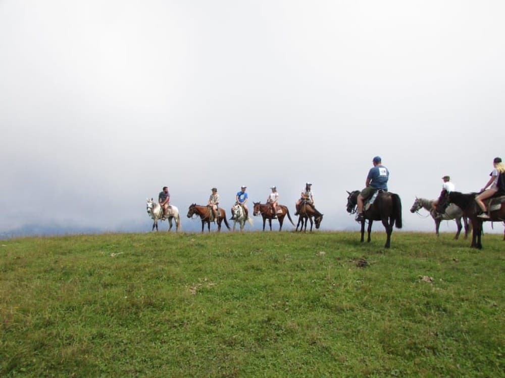 1 Day Horse Riding Adventure in Borjomi Mountains | ®ExcursionMania