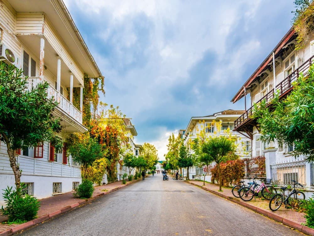 Istanbul: Istanbul: Princess Islands with Lunch and Hotel Transfer | ®ExcursionMania