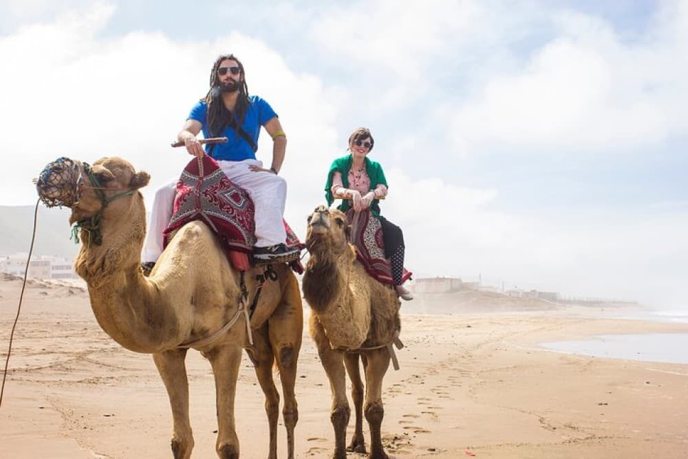 Sunset Camel Ride in Agadir or Taghazout With Transfers | ®ExcursionMania