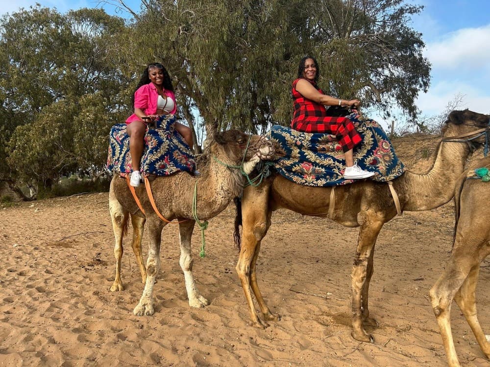 Sunset Camel Ride in Agadir or Taghazout With Transfers | ®ExcursionMania
