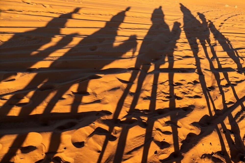 Agadir Desert Trip With Lunch | ®ExcursionMania