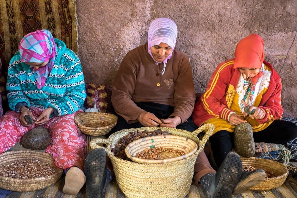 Argan Oil Factory in Agadir and Learn About The Magic Oil | ®ExcursionMania