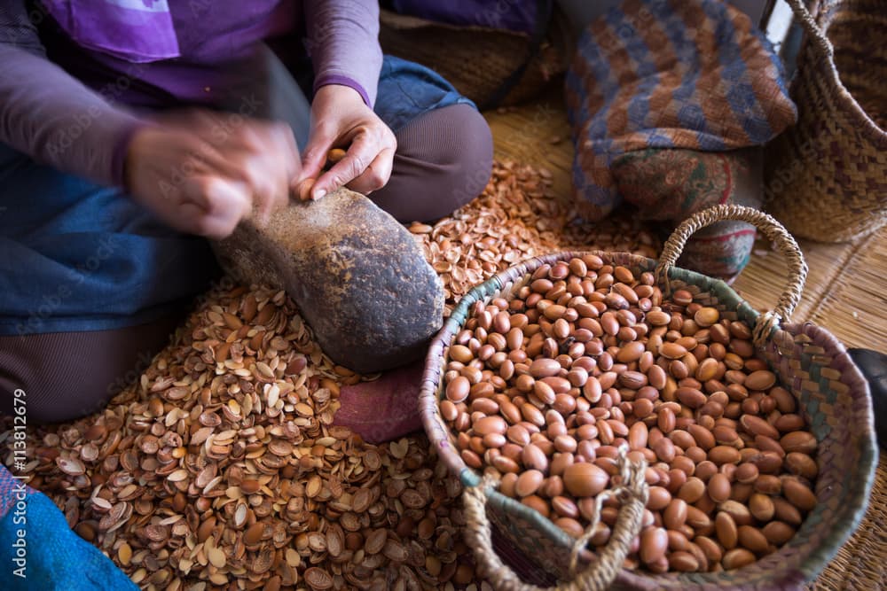 Argan Oil Factory in Agadir and Learn About The Magic Oil | ®ExcursionMania