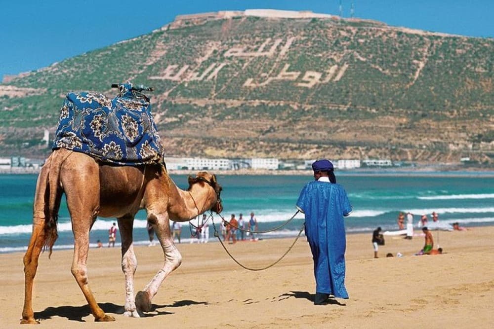 Agadir City Discovery in 3 Hours With Pick up and Drop off | ®ExcursionMania